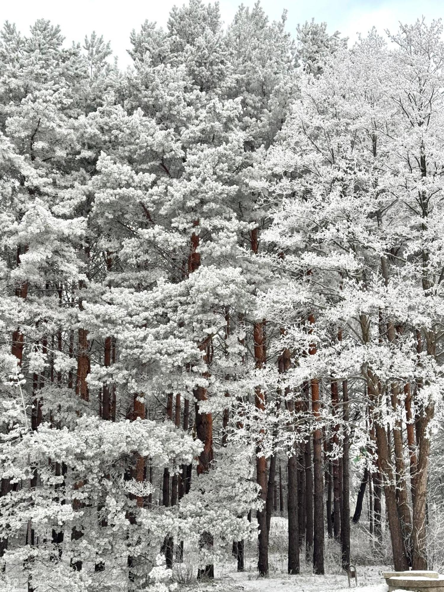 Hill Palanga & Spa ภายนอก รูปภาพ