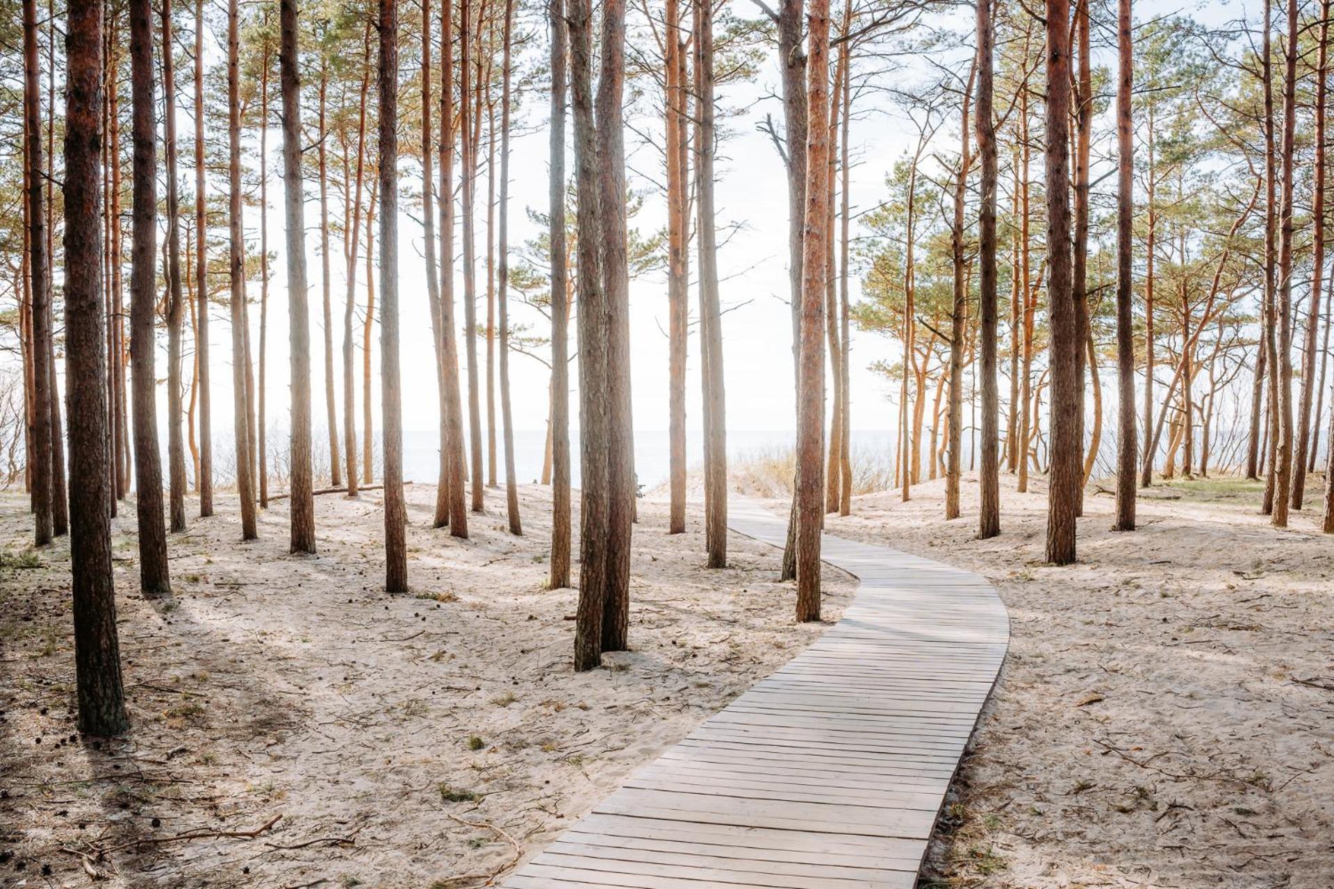 Hill Palanga & Spa ภายนอก รูปภาพ